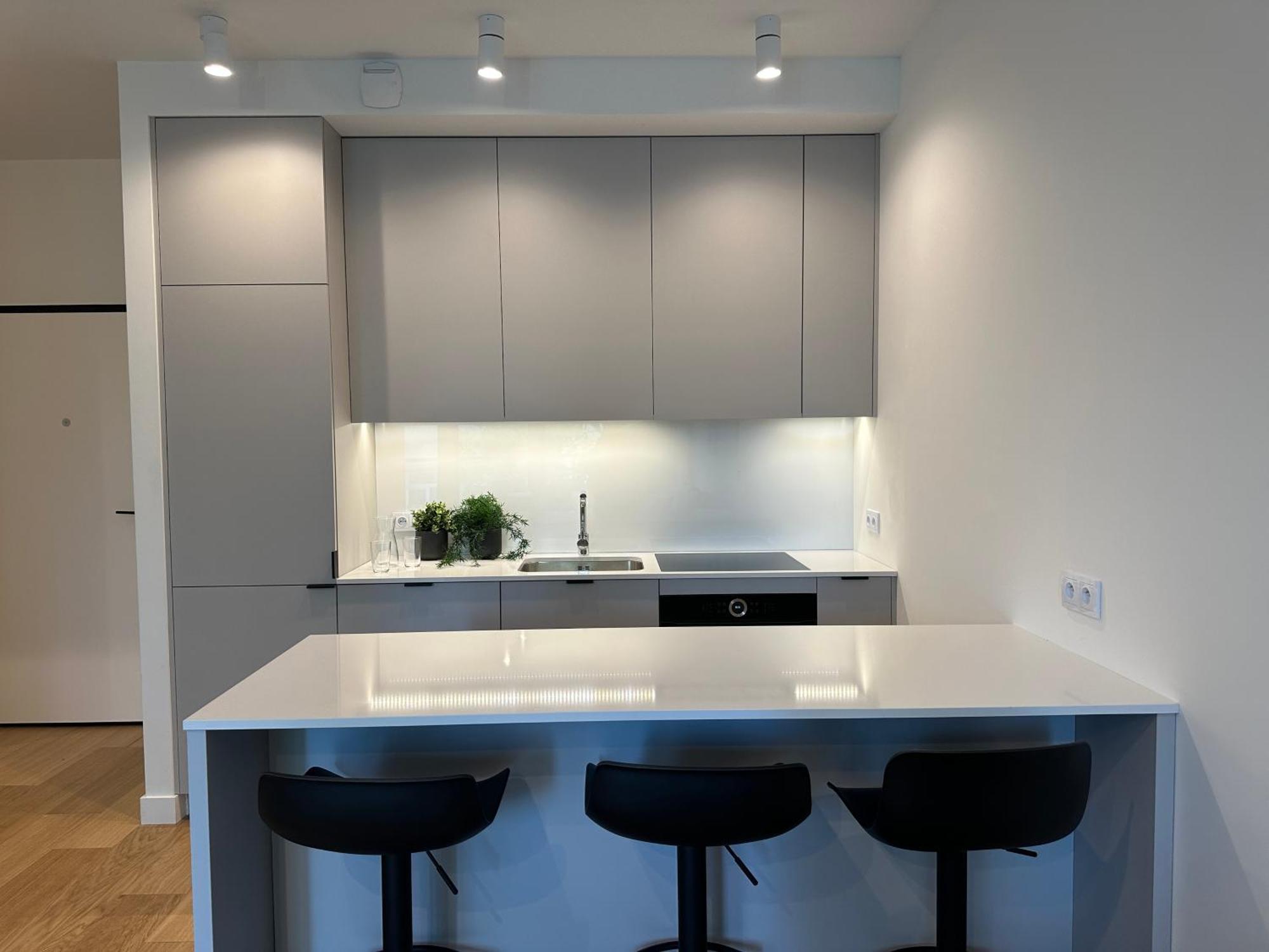 Luxurious And Modern In Center With Parking By Renters Prestige Butas